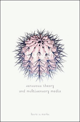 click to buy "Touch: Sensuous Theory and Multisensory Media" at Amazon.com