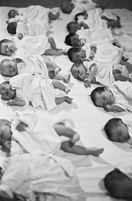 A batch of babies laid out for The Naked Bunyip at the Royal Women’s Hospital, Melbourne