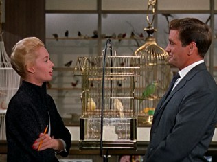 Alfred Hitchcock’s The Birds